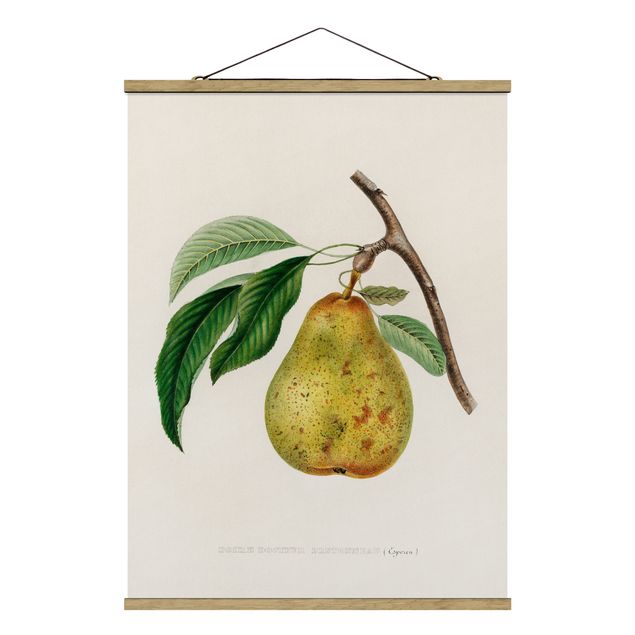 Fabric print with poster hangers - Botany Vintage Illustration Yellow Pear