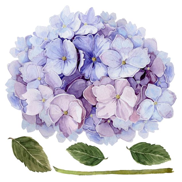 Wall sticker - Watercolour Hydrangea Blue Bloom XXL