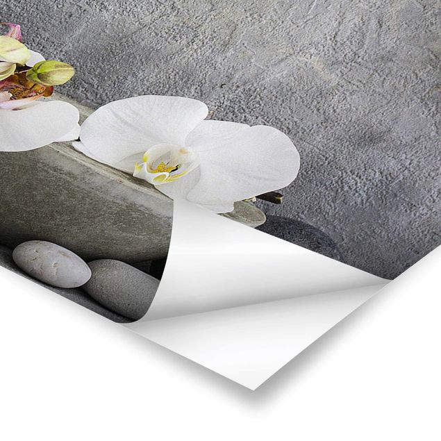 Poster - Zen Buddha With White Orchids