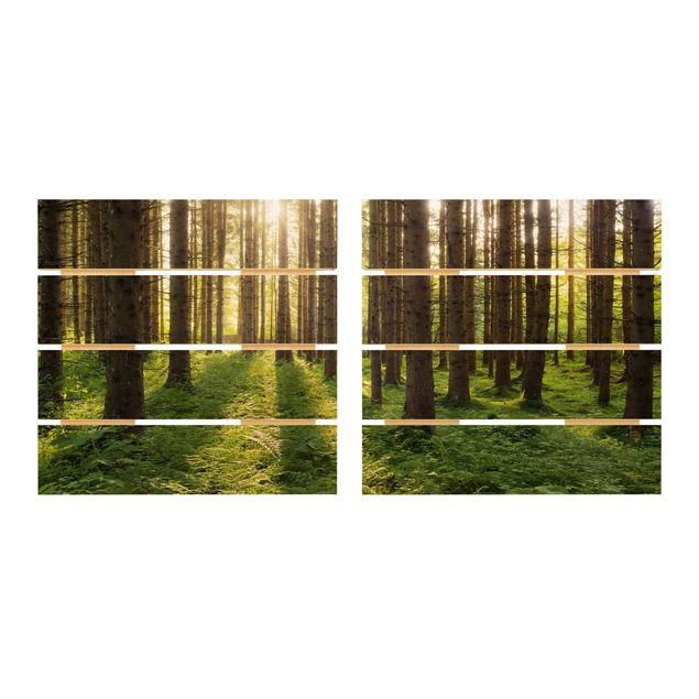 Print on wood - Sun Rays In Green Forest