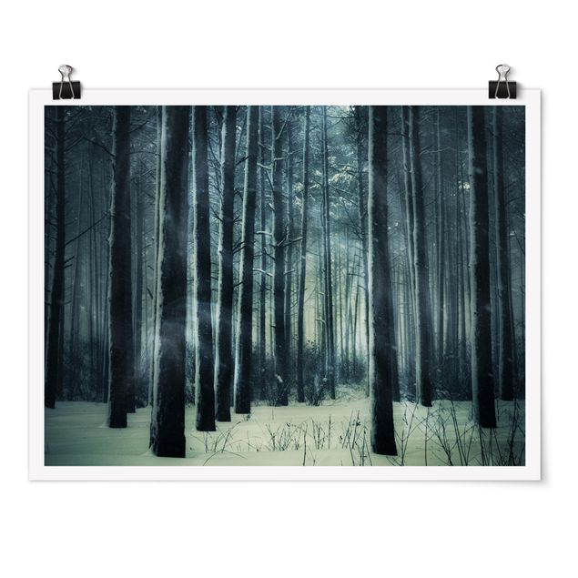 Poster - Mystical Winter Forest