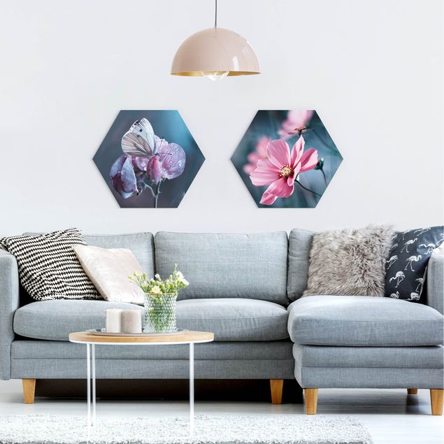 Forex hexagon - Butterfly And Ladybug On Flowers