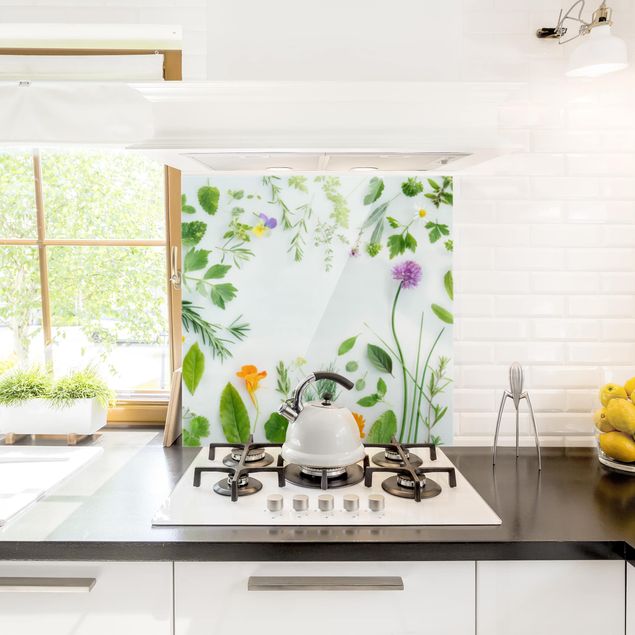 Glass splashback kitchen spices and herbs Herbs And Flowers