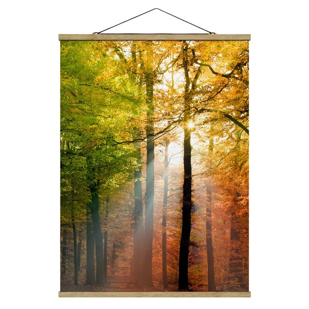 Fabric print with poster hangers - Morning Light