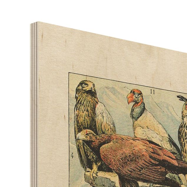 Print on wood - Vintage Board Birds