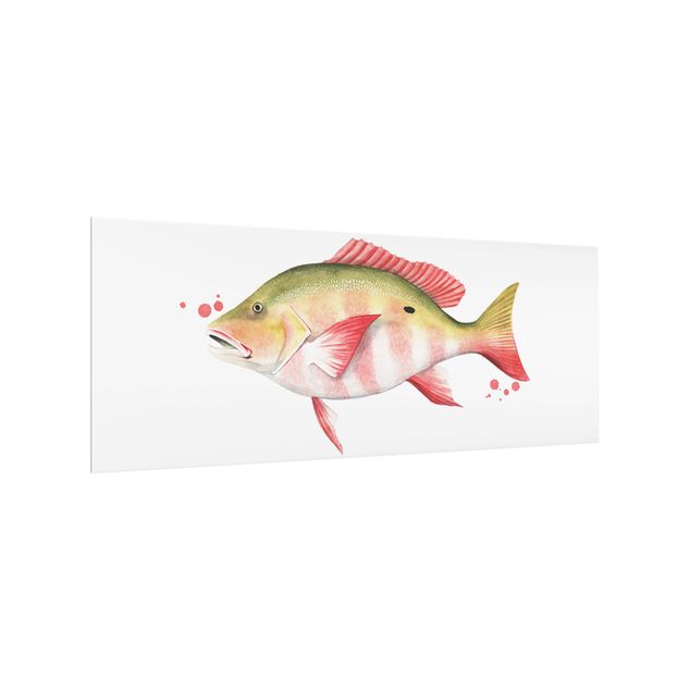 Splashback - Color Catch - Northern Red Snapper