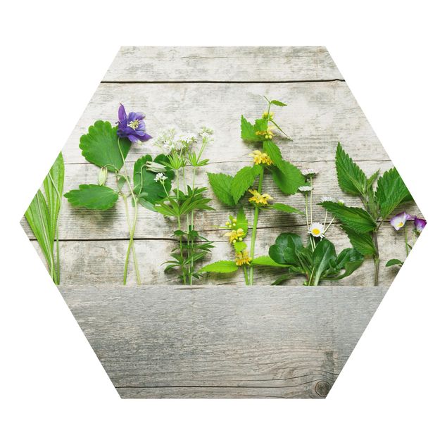Alu-Dibond hexagon - Medicinal and Meadow Herbs