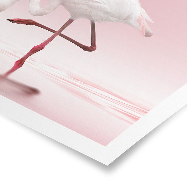 Poster - Flamingo Dance