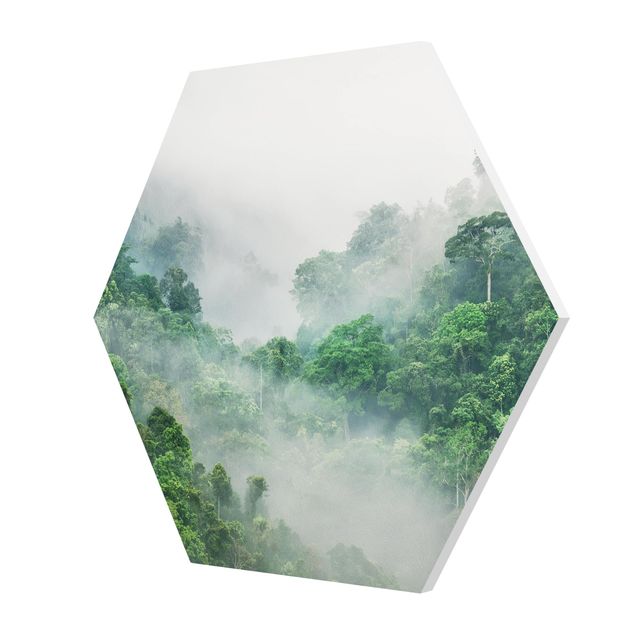 Forex hexagon - Jungle In The Fog