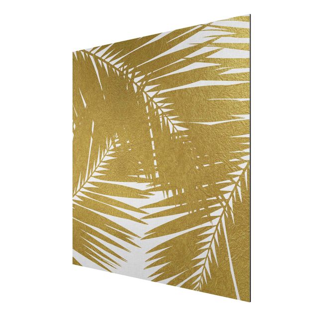 Print on aluminium - View Through Golden Palm Leaves