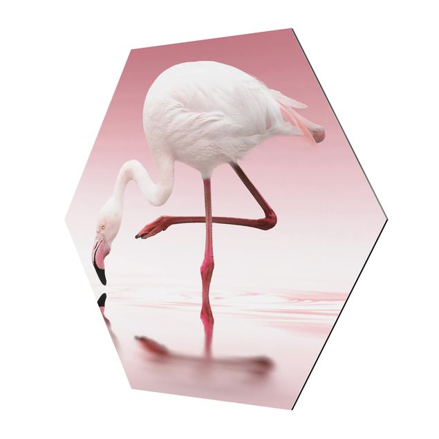 Alu-Dibond hexagon - Flamingo Dance