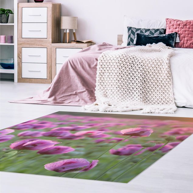 Modern rugs Purple Poppy Flower Meadow In Spring