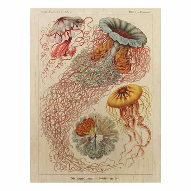 Print on wood - Vintage Board Jellyfish