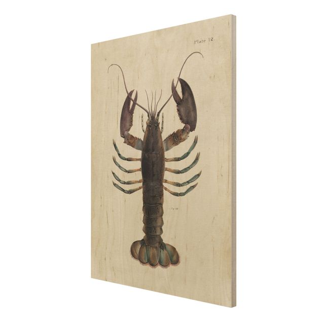 Print on wood - Vintage Illustration Lobster