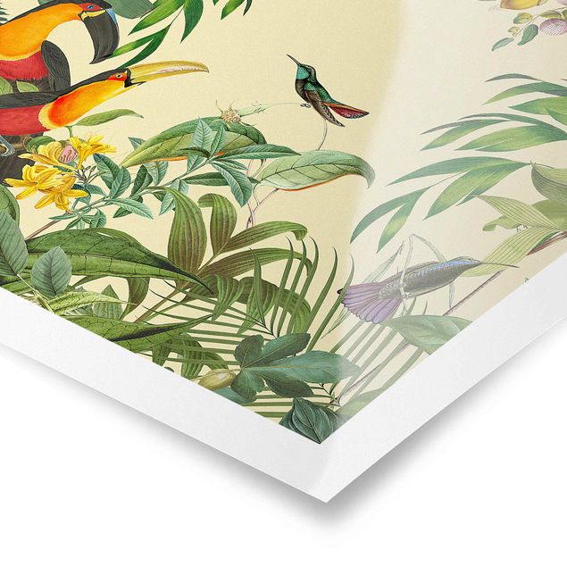 Poster - Vintage Collage - Birds In The Jungle