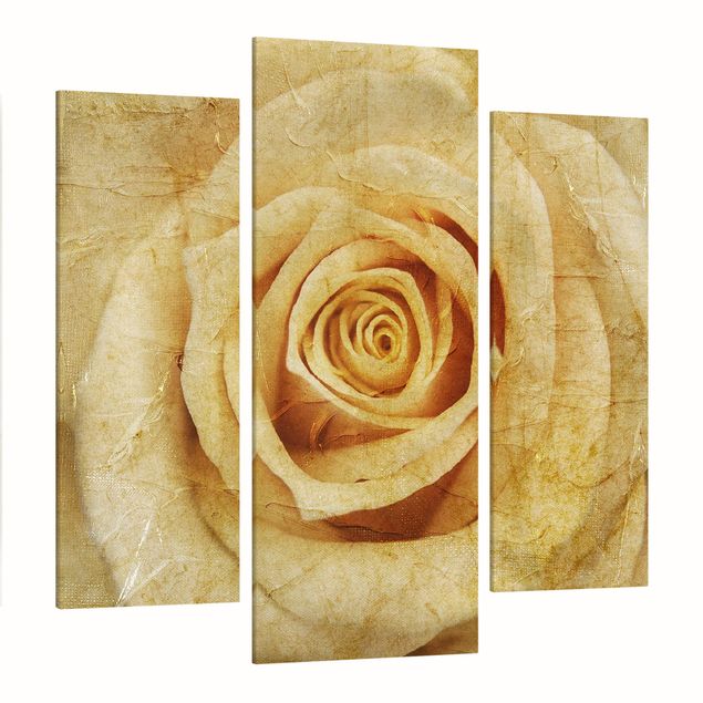 Print on canvas 3 parts - Vintage Rose