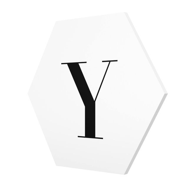 Forex hexagon - Letter Serif White Y