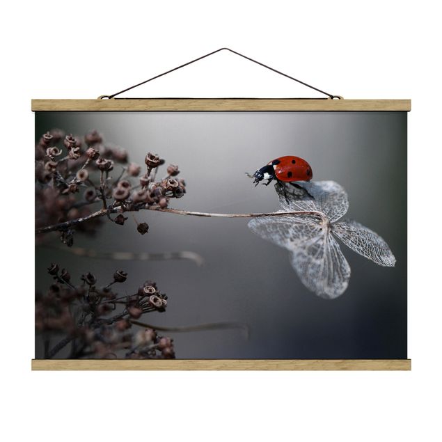 Fabric print with poster hangers - Ladybird On Hydrangea