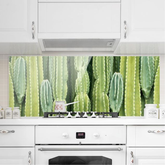 Glass splashback kitchen flower Cactus Wall