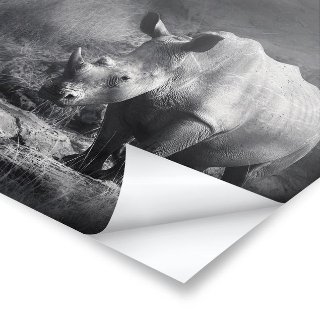 Poster - Lonesome Rhinoceros