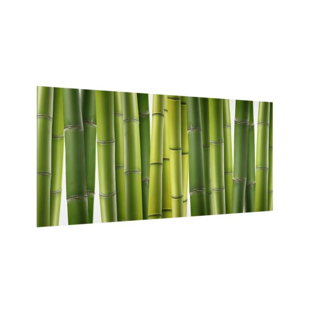 Glass splashback Bamboo Plants