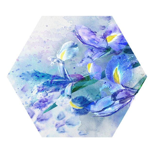 Forex hexagon - Watercolour Flowers Iris