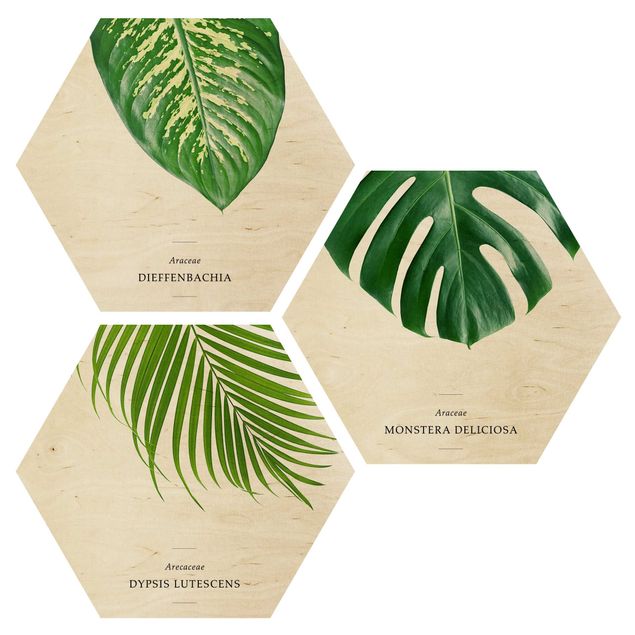 Wooden hexagon - Tropical Leaves