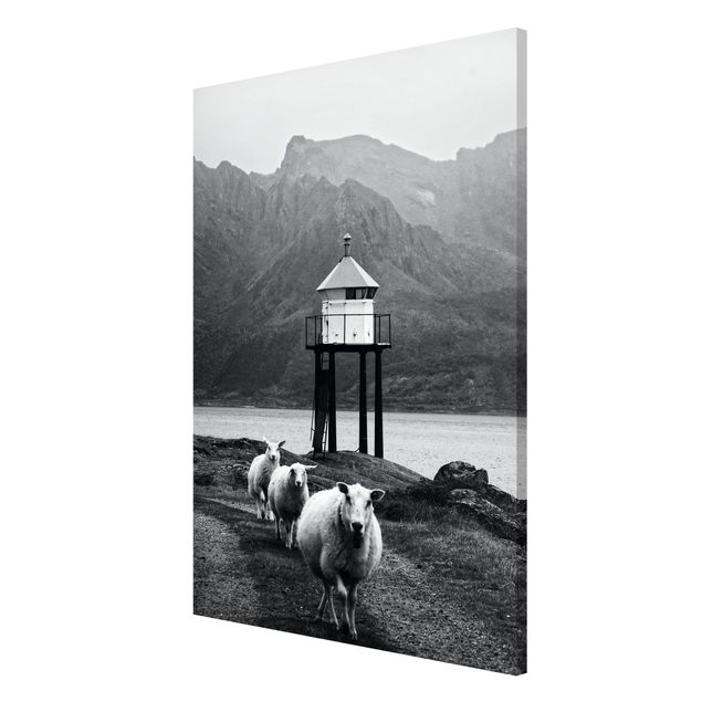 Magnetic memo board - Three Sheep On the Lofoten