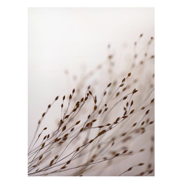 Magnetic memo board - Soft Grasses In Slipstream