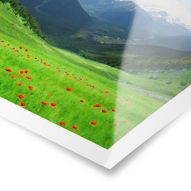 Poster - Alpine Meadow