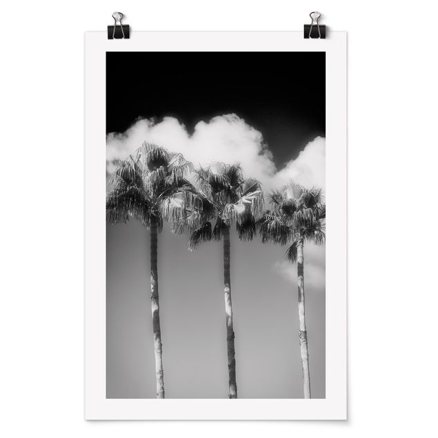 Poster - Palm Trees Against The Sky Black And White