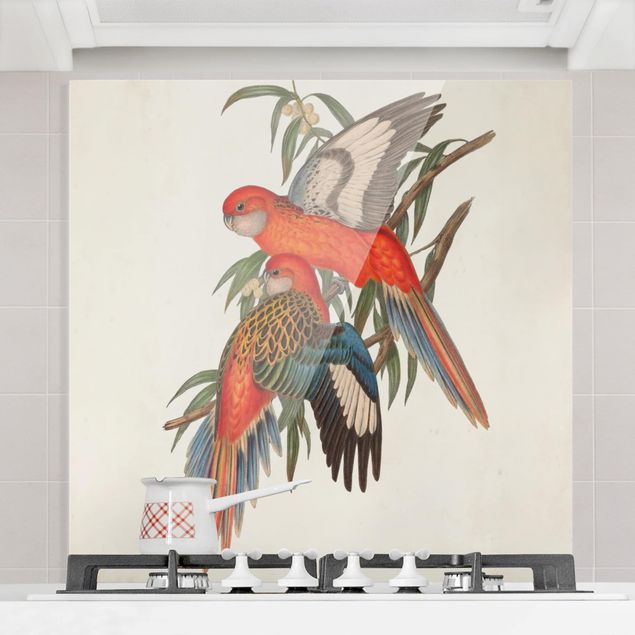 Glass splashback kitchen flower Tropical Parrot I