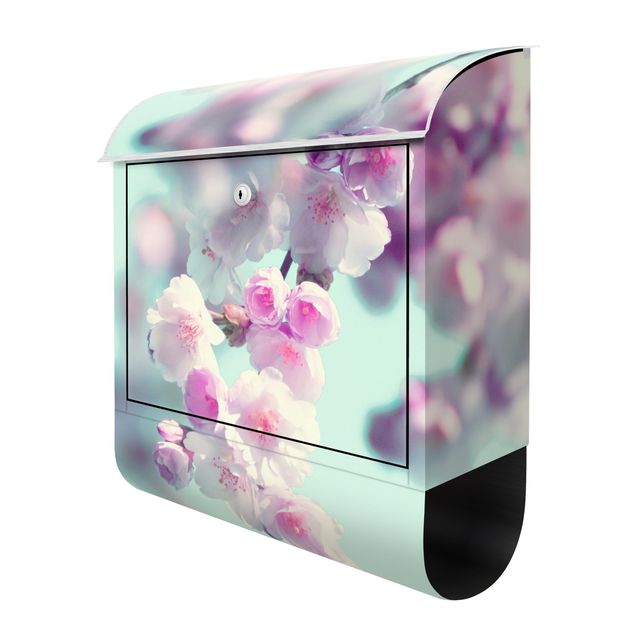 Letterbox - Colourful Cherry Blossoms