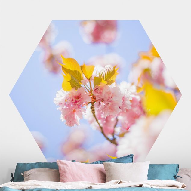 Self-adhesive hexagonal wall mural Colourful Cherry Blossoms