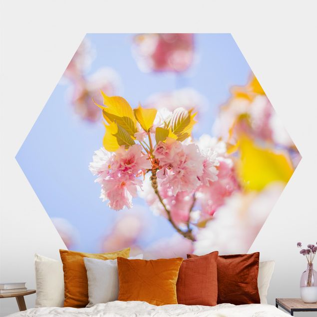 Wallpapers Colourful Cherry Blossoms