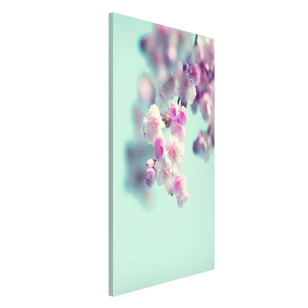 Magnetic memo board - Colourful Cherry Blossoms