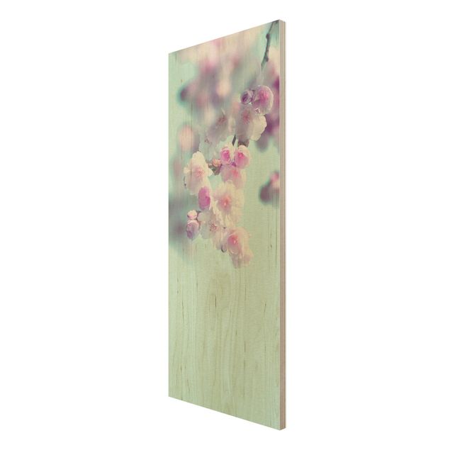 Wood print - Colourful Cherry Blossoms