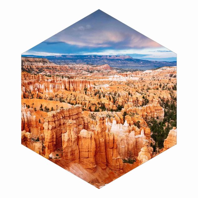 Self-adhesive hexagonal pattern wallpaper - Blaze Of Colour Of The Grand Canyon