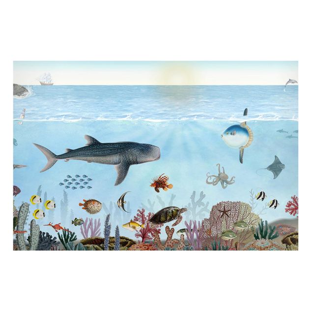 Magnetic memo board - Fascinating creatures on the coral reef