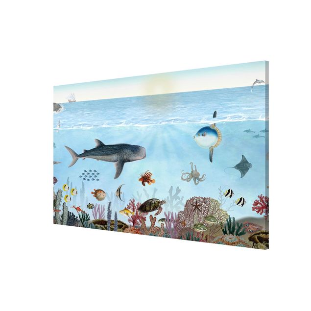 Magnetic memo board - Fascinating creatures on the coral reef