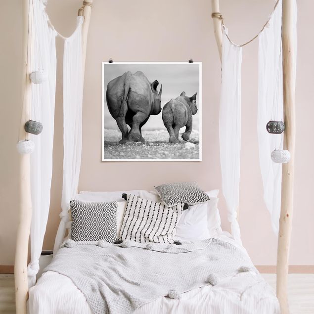 Poster - Wandering Rhinos II
