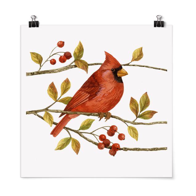 Poster - Birds And Berries - Northern Cardinal
