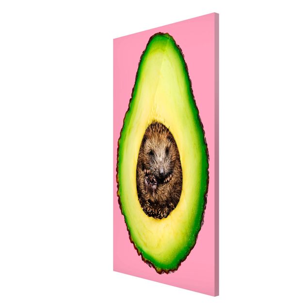 Magnetic memo board - Avocado With Hedgehog