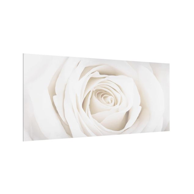 Splashback - Pretty White Rose