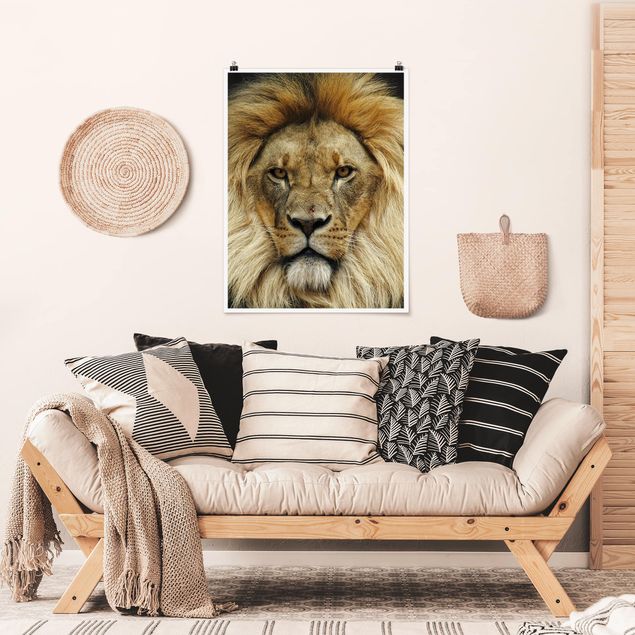 Poster animals - Wisdom Of Lion