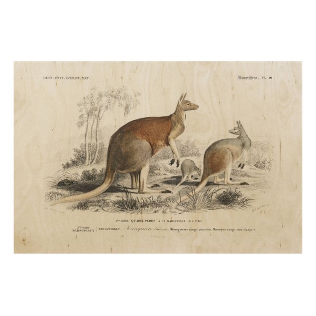 Print on wood - Vintage Board Kangaroo