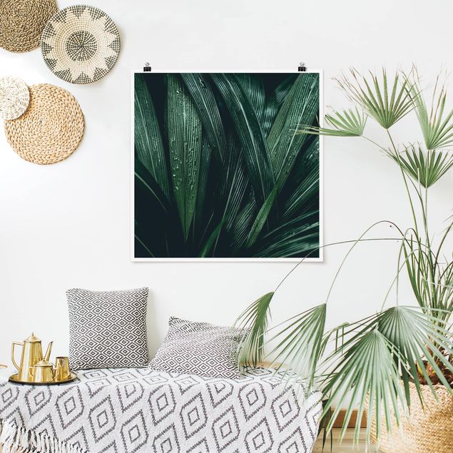 Poster - Green Palm Leaves
