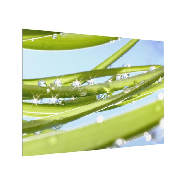 Glass Splashback - Fresh Green - Landscape 3:4