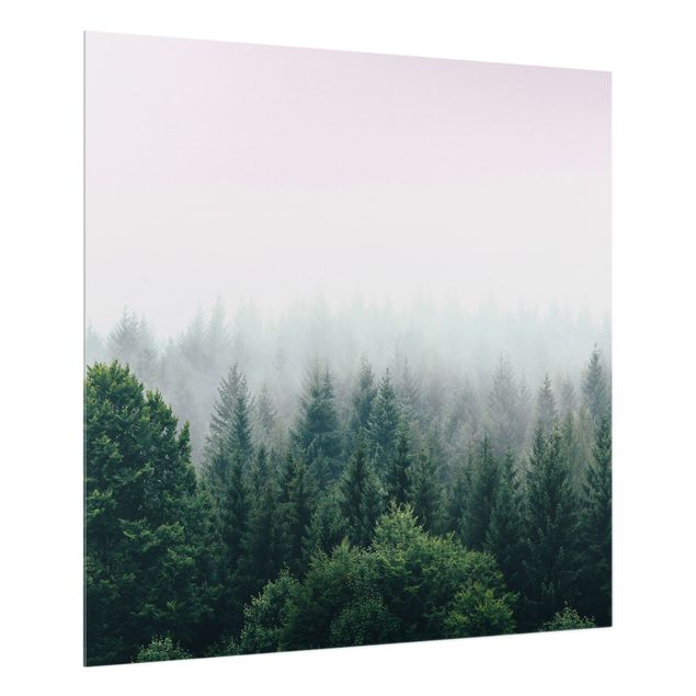 Splashback - Foggy Forest Twilight - Square 1:1