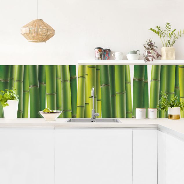 Kitchen splashbacks Bamboo Plants II